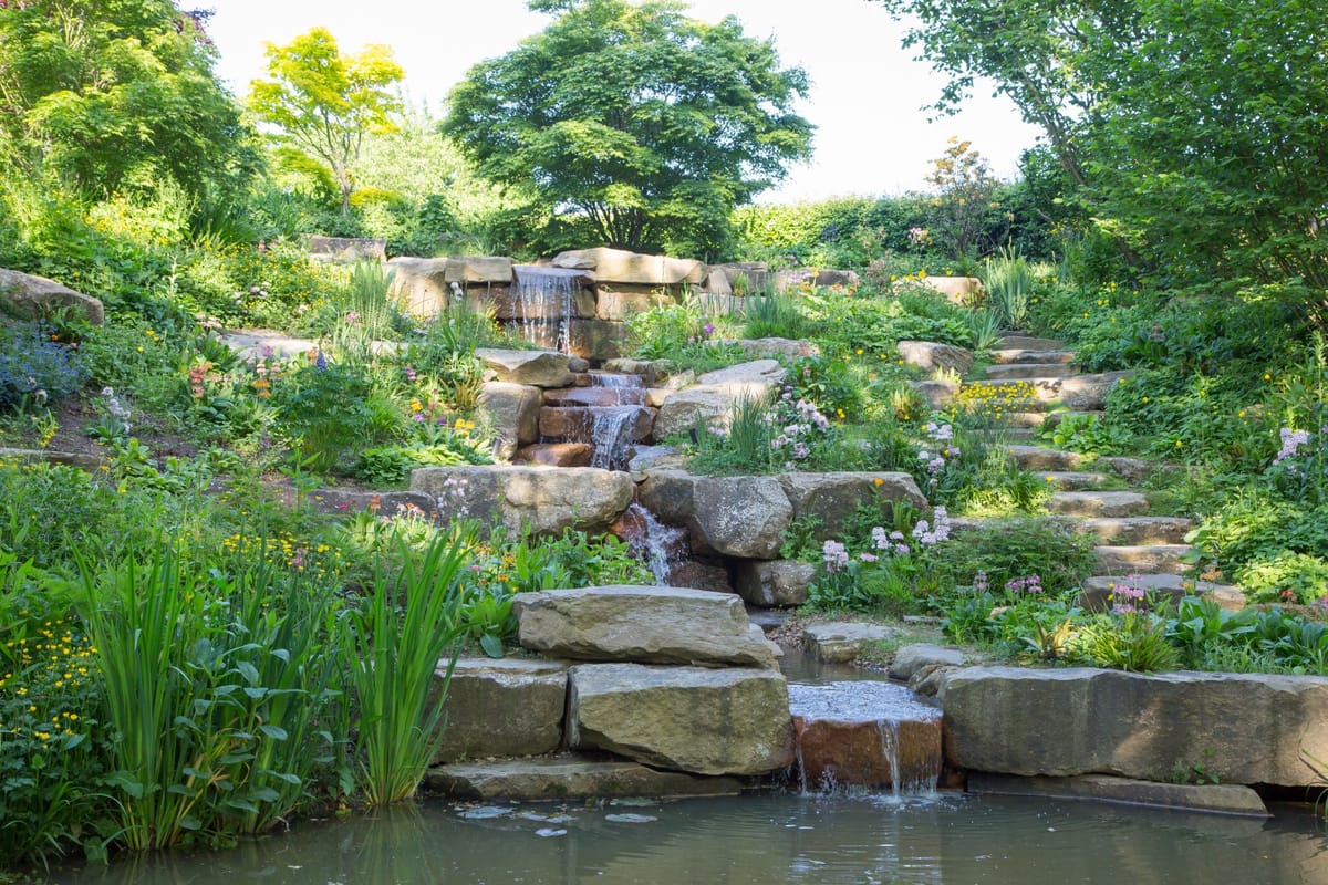 Sharing stories with... Hortus Collective